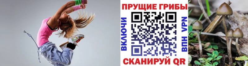 Псилоцибиновые грибы Cubensis  Ангарск 